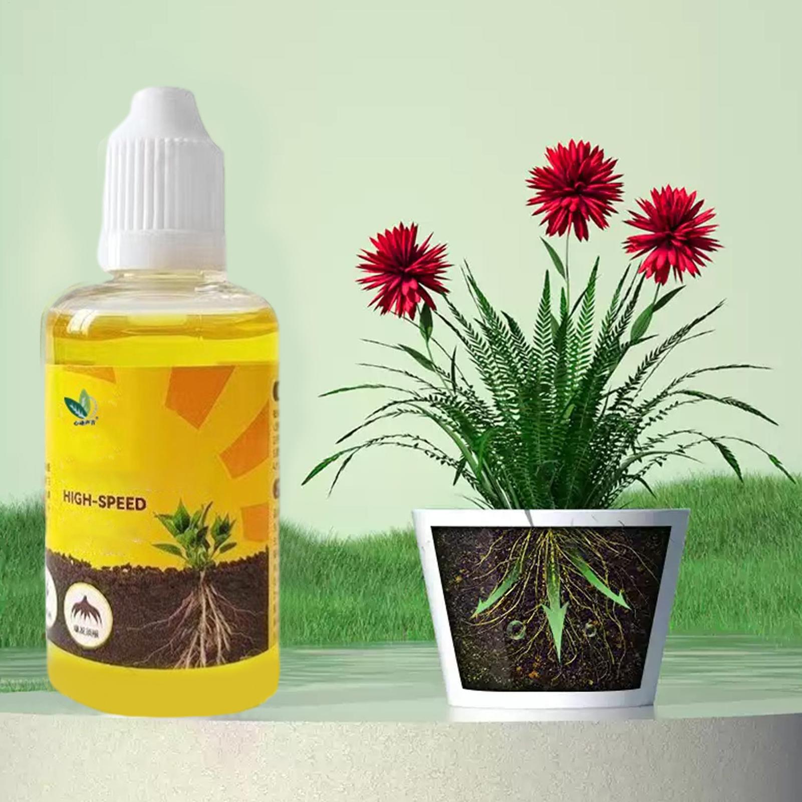 Bitki Köklenme Teşvik Sıvısı,  - Root Stimulator Liquid incelemesi ve fiyatı